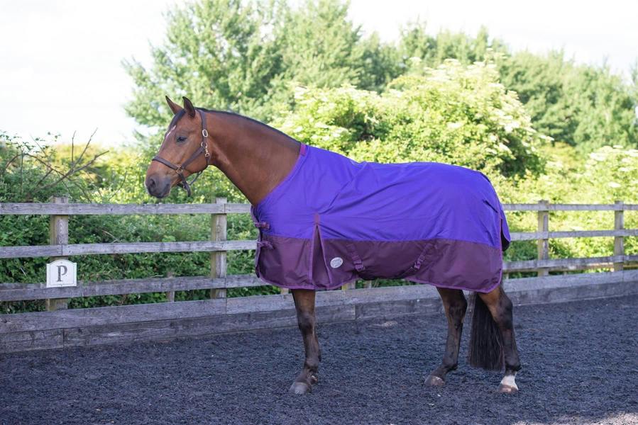 eQuitack 600D Outdoor Winter Mediumweight Waterproof Horse Turnout Rug 100g Fill Standard Neck Nylon Lined Double Buckle Purple/Plum