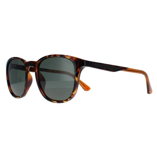 Police Sunglasses SPLF18E 978P Shiny Dark Havana Green Polarized