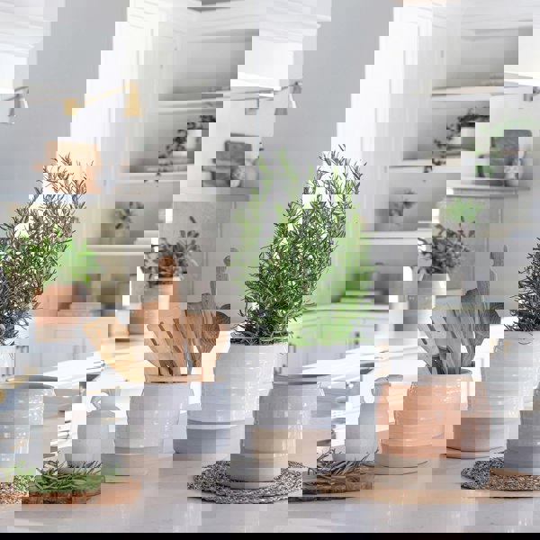#color_white