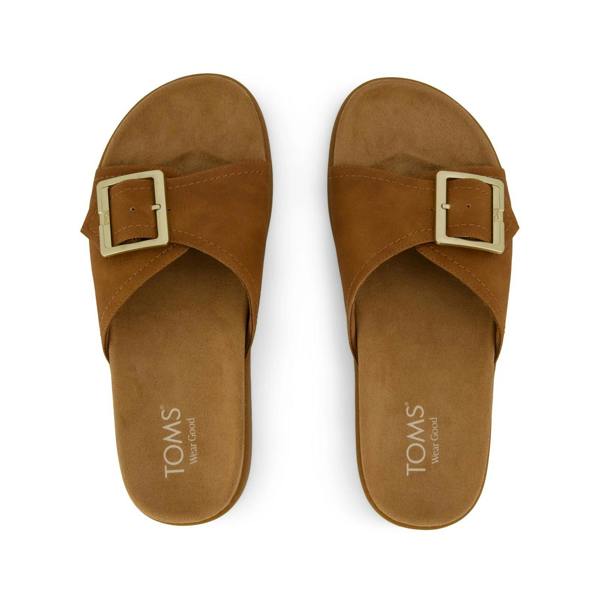 Toms MARIN SLIDE Sliders   in  Brown
