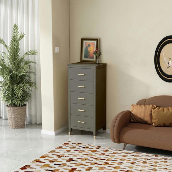 Cabinet Bits Palazzi 5 Drawer Narrow Chest of Drawers