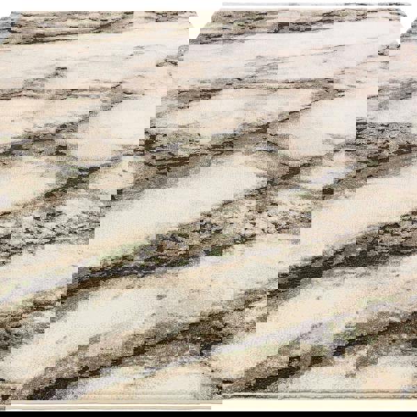 Asiatic Mirage Mineral Green Rug