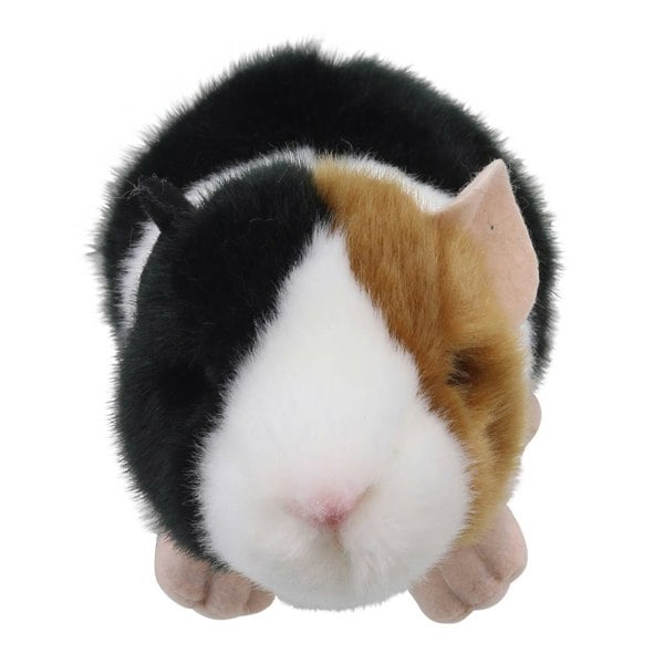 Wilberry Guinea Pig - Wilberry Minis