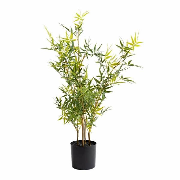 Scottish Everlastings 75cm Mini-leaf Bamboo Tree