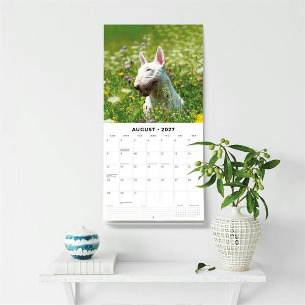 Bull Terriers Calendar 2027, Wall Calendars, Month To View, Dogs, Gift