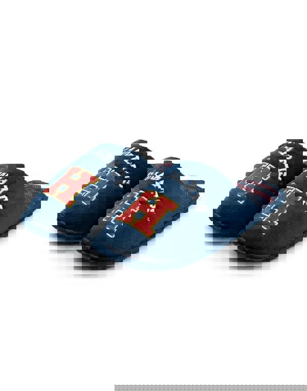 Harry Potter Mens Blue Hogwarts Mule Slippers