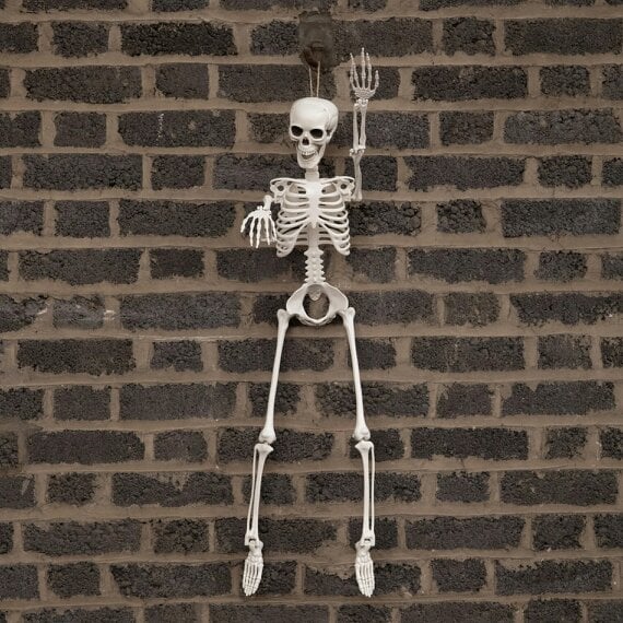 Samuel Alexander 10 Pack: 3ft (90cm) Posable Full Body Halloween Skeleton Decoration with Movable Joints
