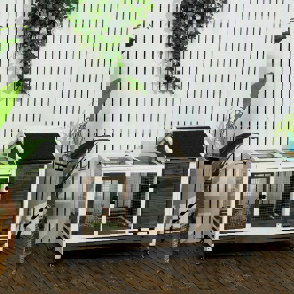 D51-352V00CF