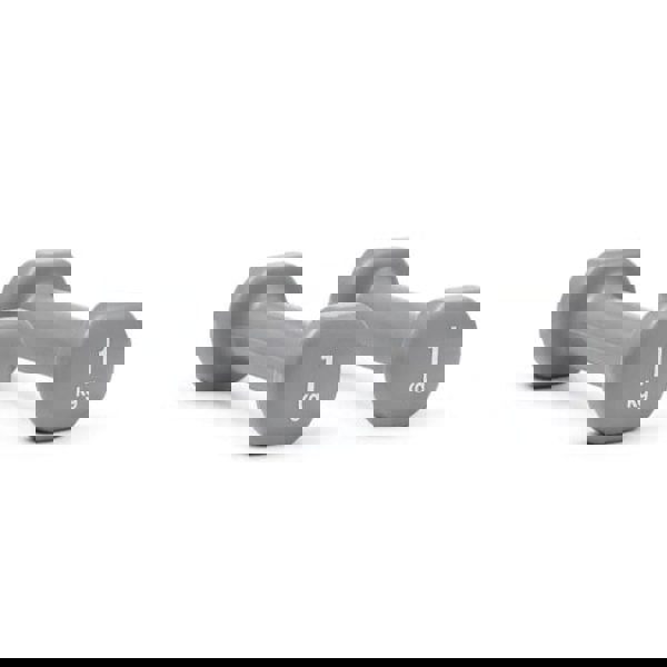 Reebok 1kg Dumbbells