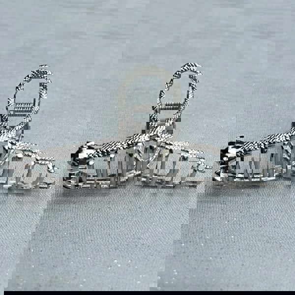 Silver Snake Hair Claw Clip, Snake Claw Clip, Silver Claw Clip, Large Silver Hair Clip, Metal Claw Clip 