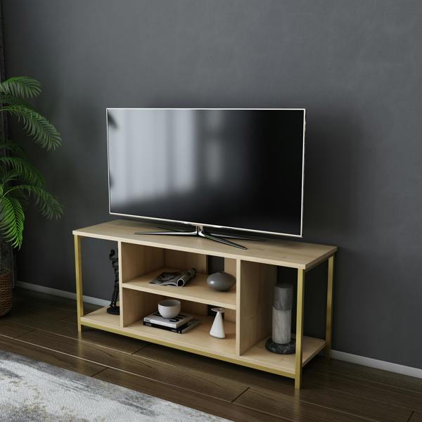 Decorotika Rinaldo Modern Tv Stand TV Cabinet for TV's up to 55"