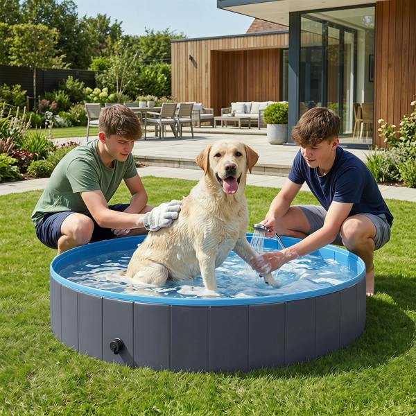 Pet Swimming Pool