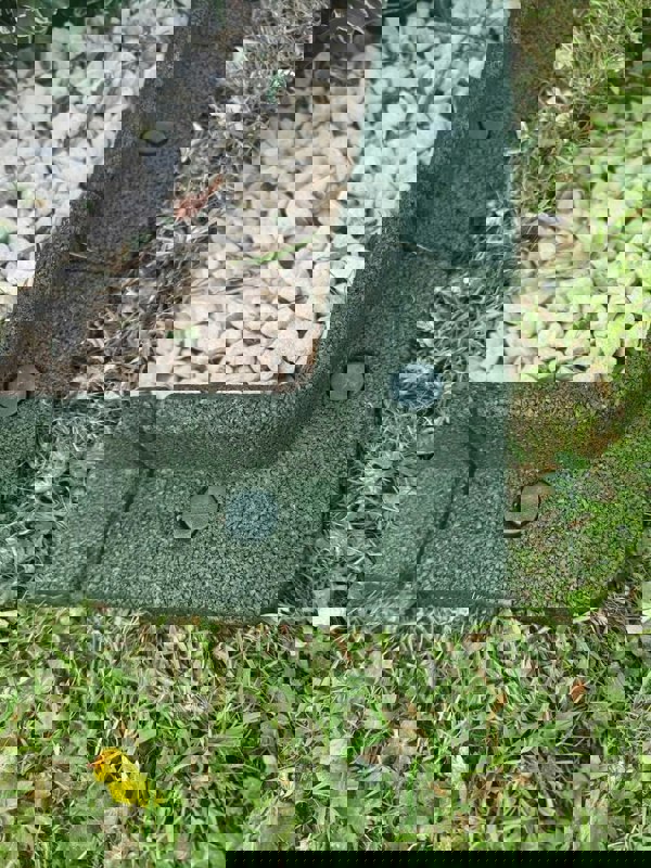 FlexiBorder Outside Corner Box of 2 Green