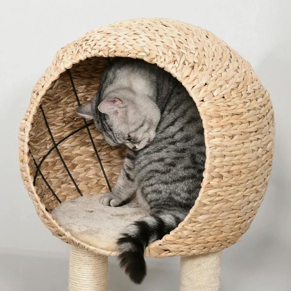 Gray cat resting inside round woven sisal condo on beige cat tree
