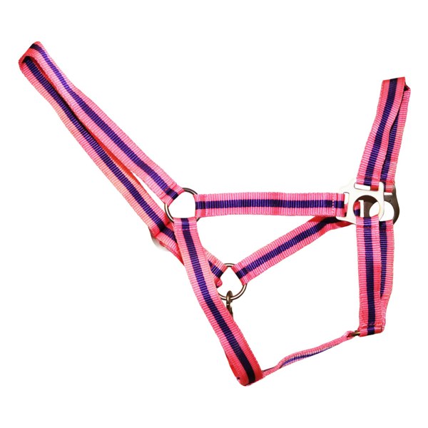 Hy Duo Head Collar - Pink/Purple