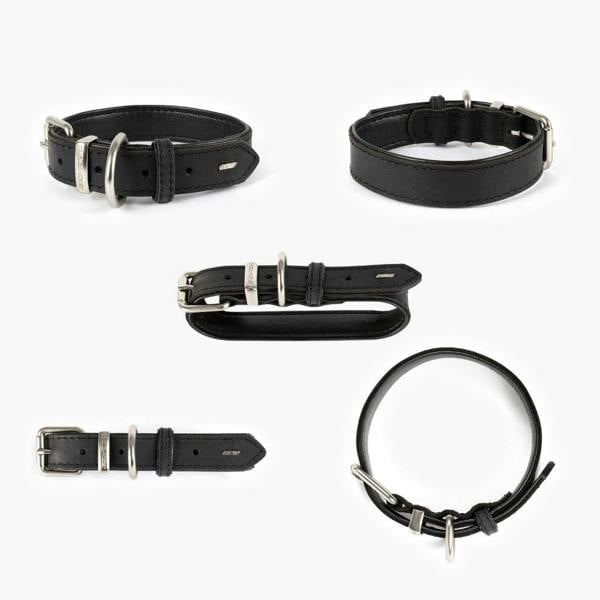 EzyDog Oxford Leather Classic Dog Collar in Black