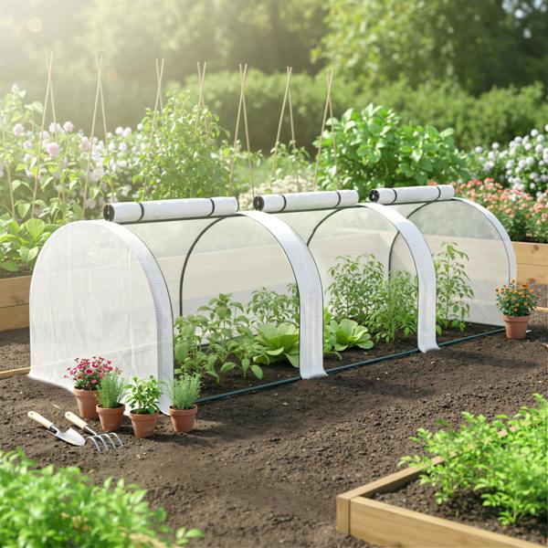 Mini Greenhouse