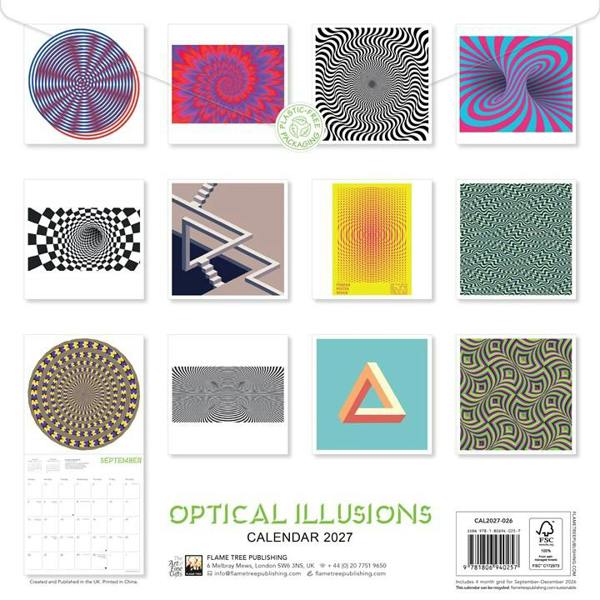 Optical Illusions Calendar 2027, Wall Calendars, Month To View, Art, Gift