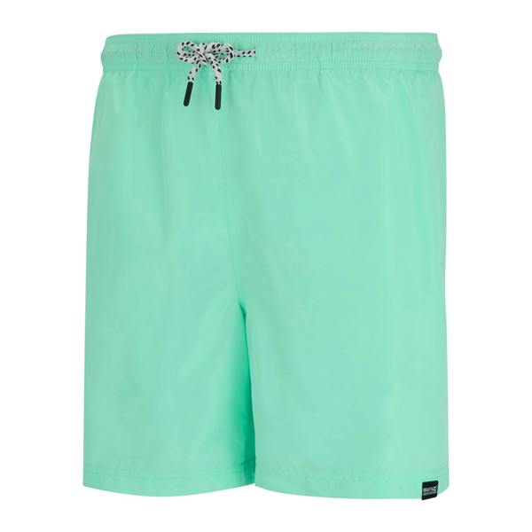 Regatta Mens Mackleyna Swim Shorts - Ice Green - 