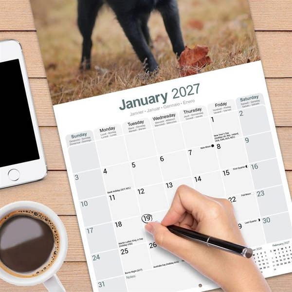 Schipperke Calendar 2027, Wall Calendars, Month To View, Dogs, Gift