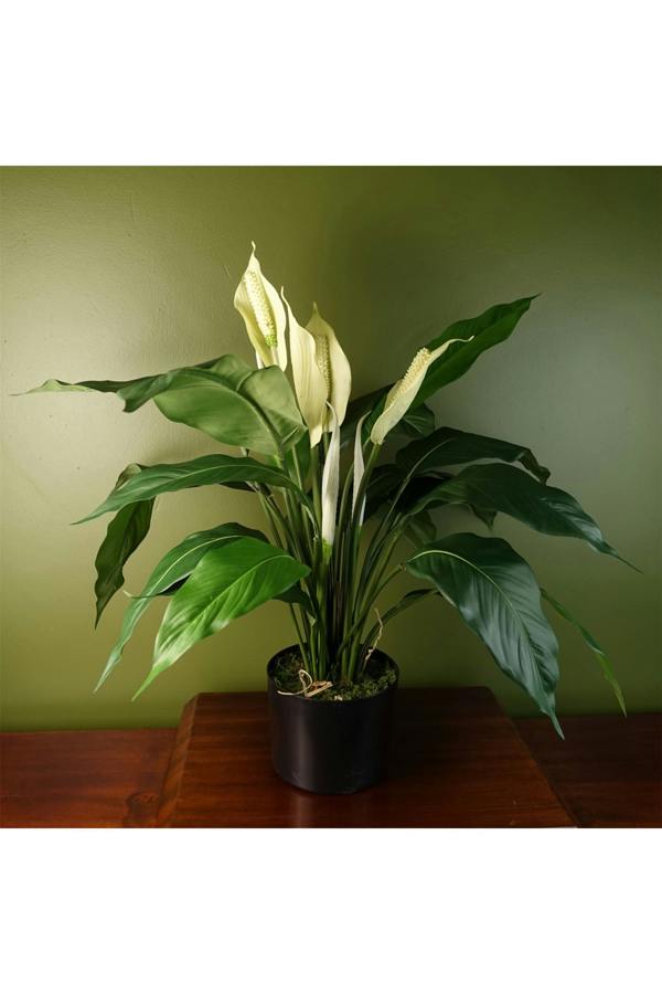 Dyzi 60cm Artificial Peace Lily with Silk Leaves and Petals