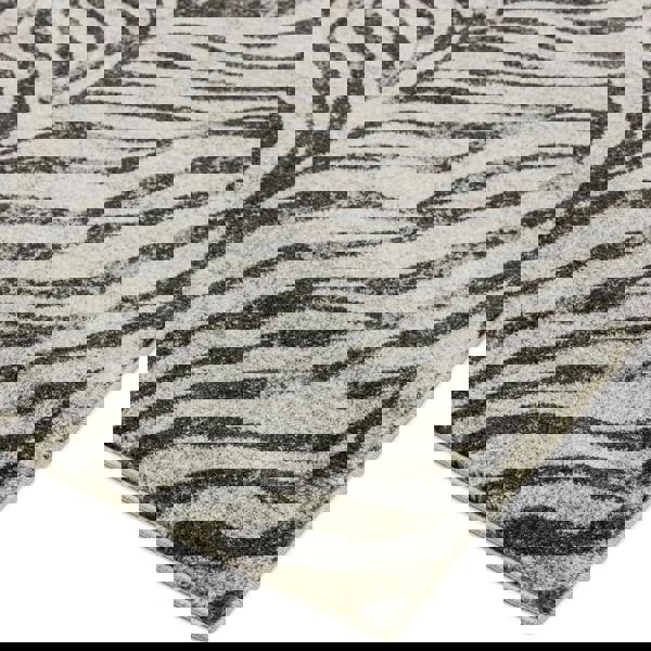 Asiatic Nova NV27 Zebra Grey Rug