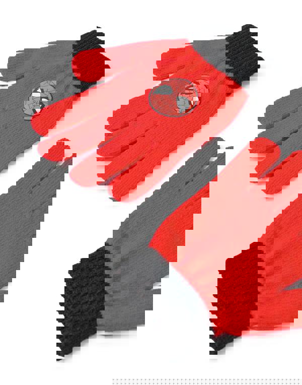 Marvel Boys Multicoloured Character Beanie and Gloves Set (One Size)