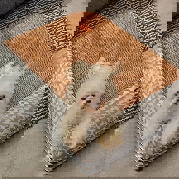 Tacchini Pet Bed, Dog Bed, Cat Bed-Weilai Concept-Weilai Concept