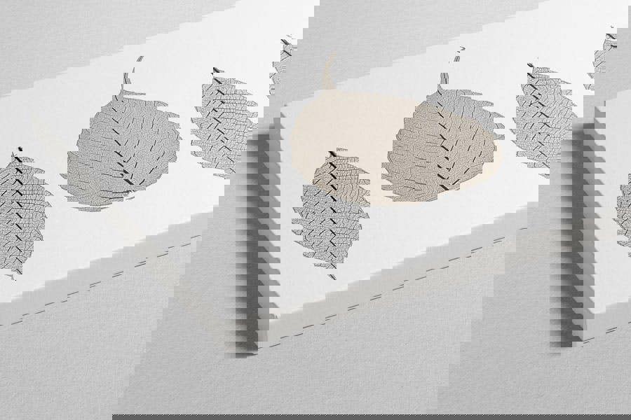 Fernlight Gallery Skeleton Leaves