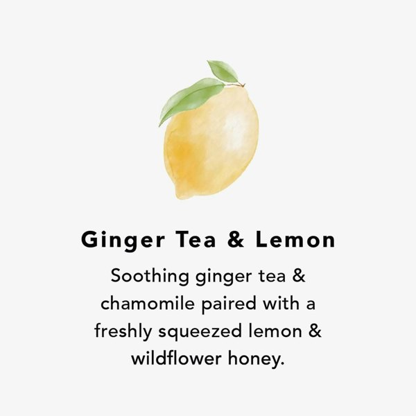 T. H. Baker Northern Lights Ginger Tea & Lemon Wax Melts Jar NL134