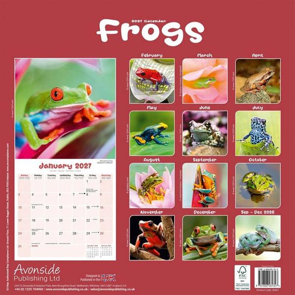 Frogs Calendar 2027, Wall Calendars, Month To View, Animals, Gift
