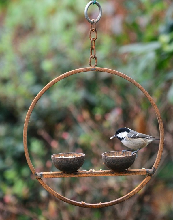 hanging bird feeder ring