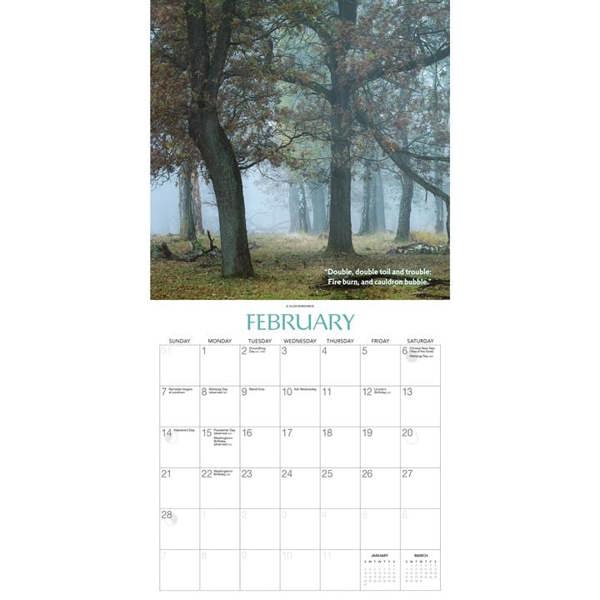 Witchcraft Witches Woods Calendar 2027, Wall Calendars, Month To View, History & Literature, Gift