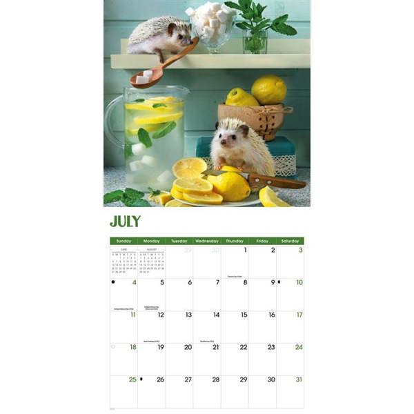 Hedgehogs! Calendar 2027, Wall Calendars, Month To View, Animals, Gift