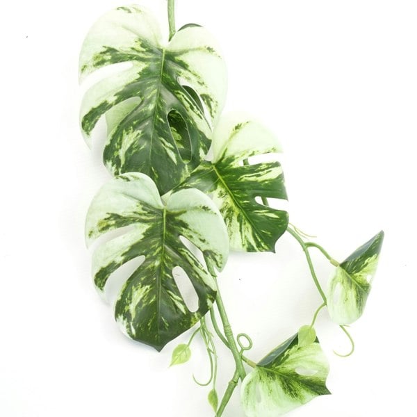 Leaf 6 x 180cm Artificial Hanging Trailing Variegated Monstera Plant