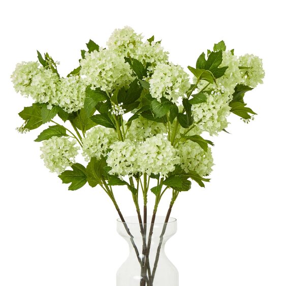 Wyld Haus Set of 3 Artificial Flowers Green Snowball Viburnum Sprays
