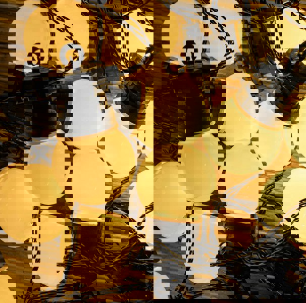 Samuel Alexander Set of 20 Indoor Outdoor Connectable Party Festoon Lights with Warm White LEDs