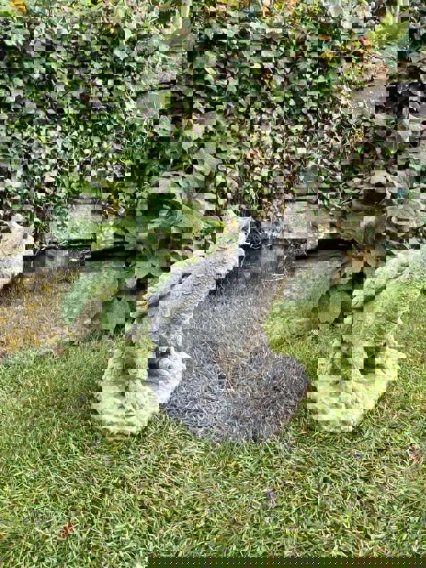 Stone Cast Dozing Dragon Small Outdoor Ornament