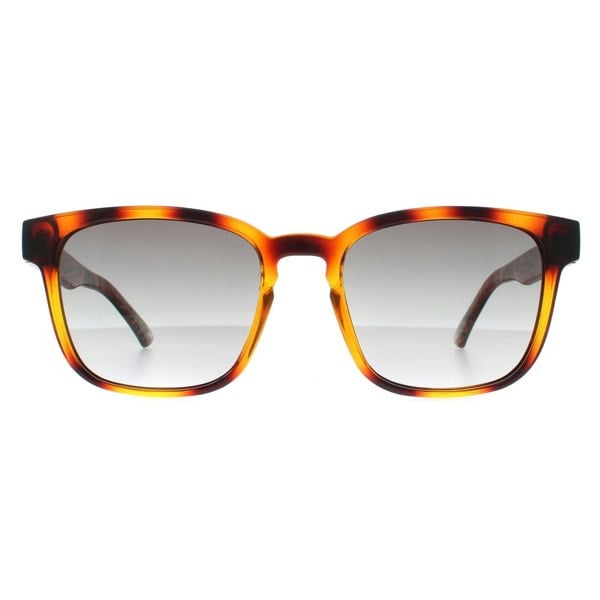 Ted Baker Sunglasses TB1635 Surf 122 Polished Dark Tortoise Grey Gradient