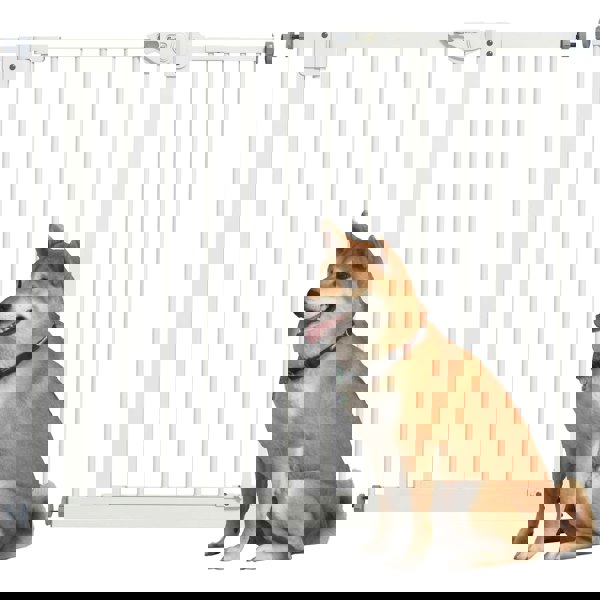 D06-096V03WT