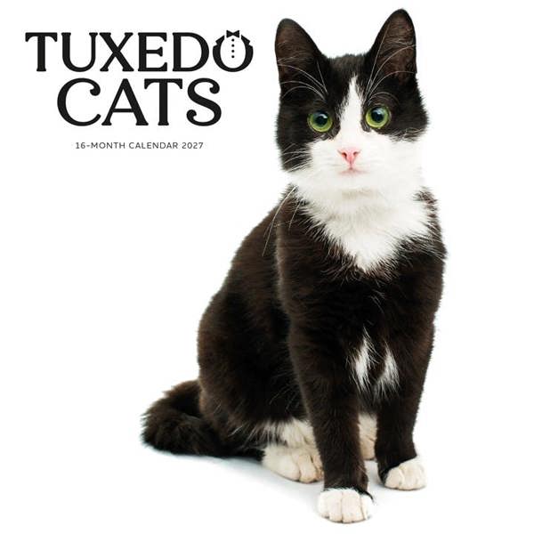 Tuxedo Cats Calendar 2027, Wall Calendars, Month To View, Cats, Gift