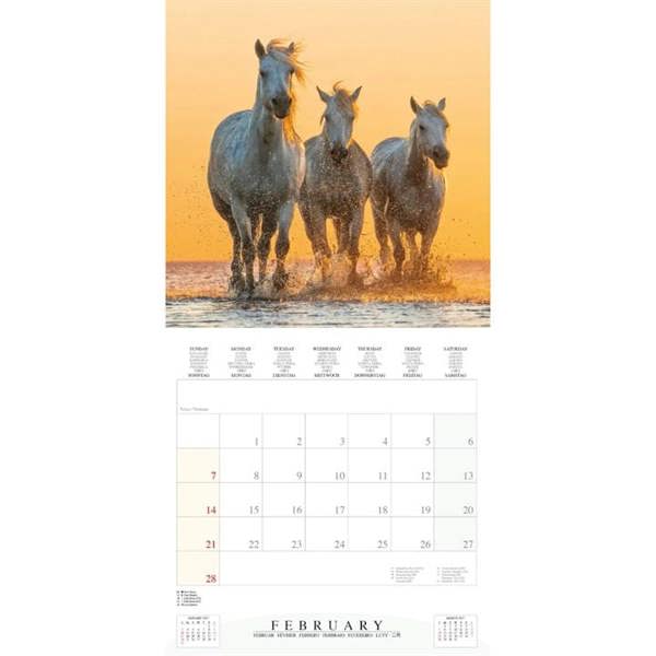 Magic Horses Calendar 2027, Wall Calendars, Month To View, Animals, Gift