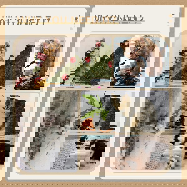 D30-329V00GY