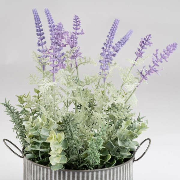 Scottish Everlastings 37.5cm Lavender in Iron Pot