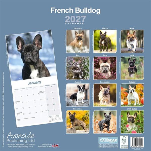 French Bulldog Calendar 2027, Wall Calendars, Month To View, Dogs, Gift
