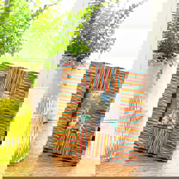 Paper High Dhari Multicoloured Stripe Papri Wood Photo Frame