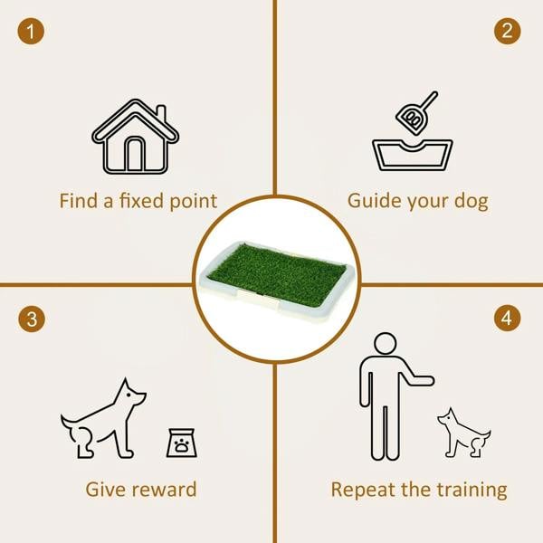 Illustrated steps for guiding a dog on a green artificial grass training pad