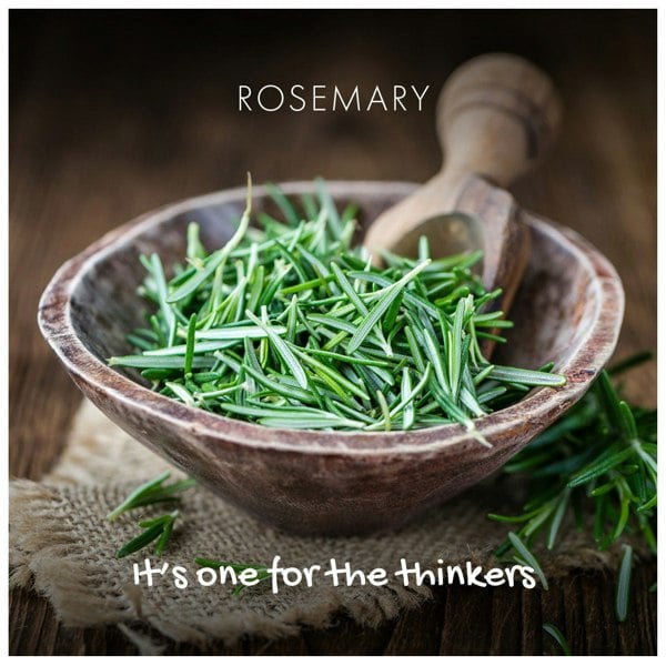 Fresh rosemary in a wooden bowl