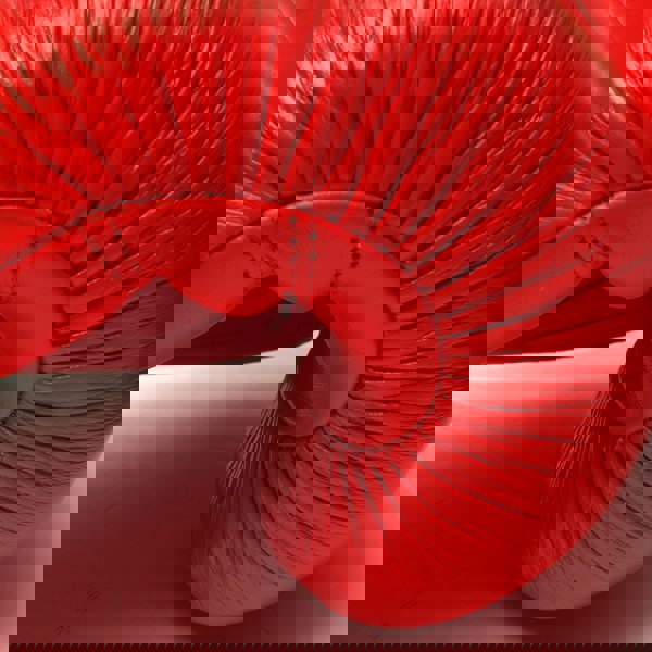 Tuf Wear Legend Leather HOOK AND LOOP Sparring Gloves