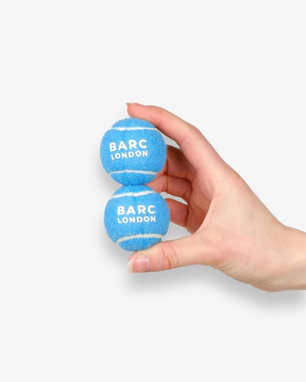 Barc London Blue Mini Dog Ball